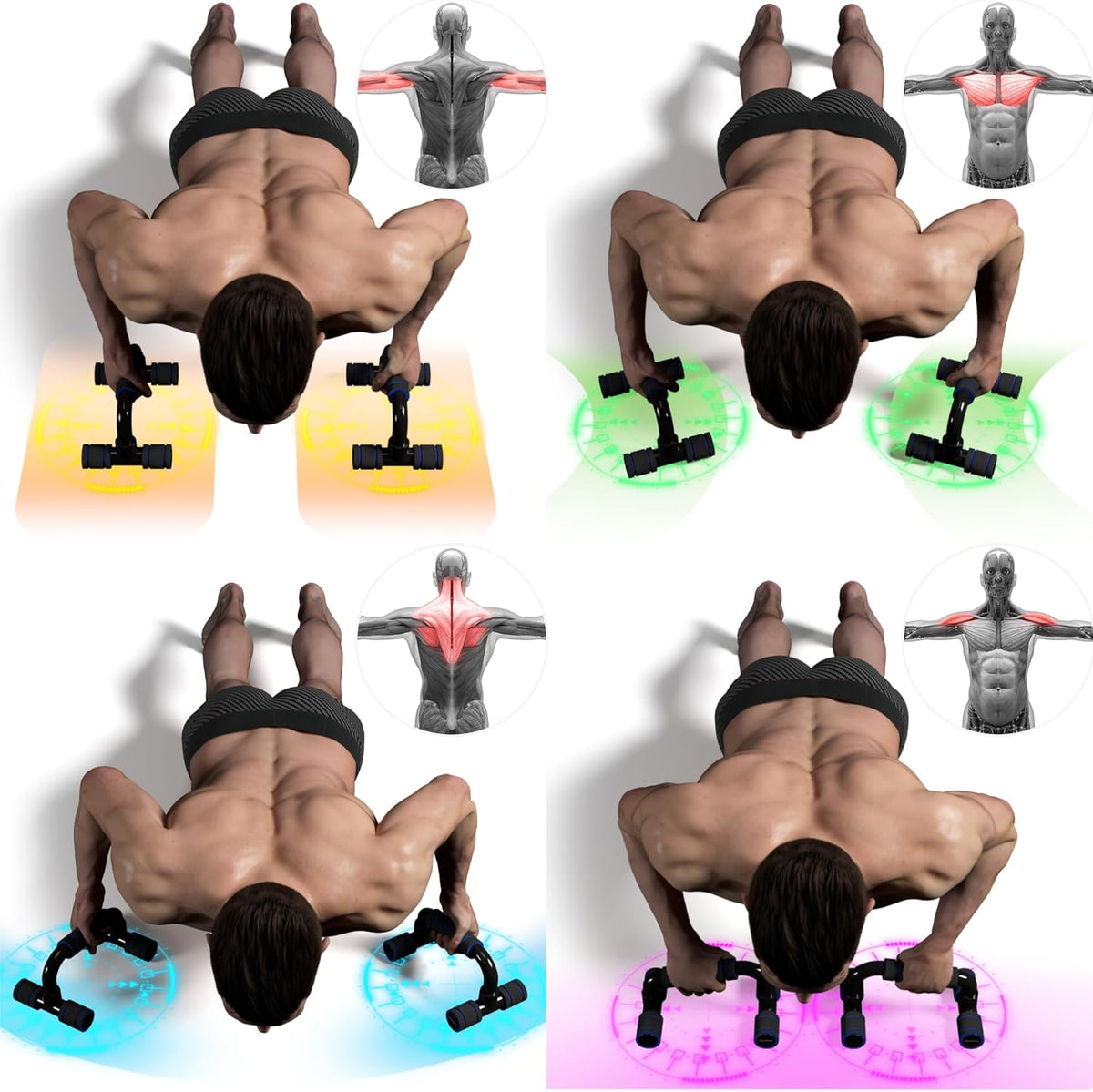 Push Up Bars with Foam Grip – Heavy Duty Push Up Stands for Home Gym